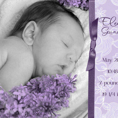 Elena&#039;s Birth Announcement