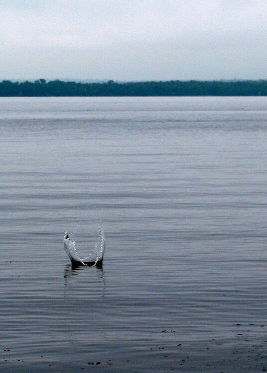 Arrival to the lake