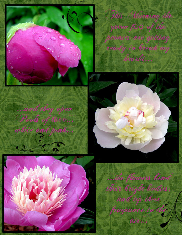 Peony page - adjusted