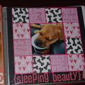 Sleeping Beauty