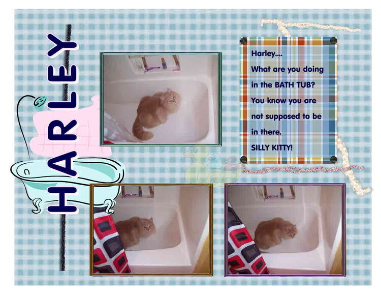 Harley in the Tub