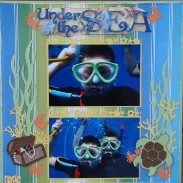 Under the SEA
