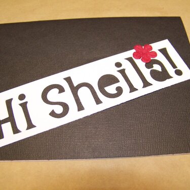 Hi Sheila