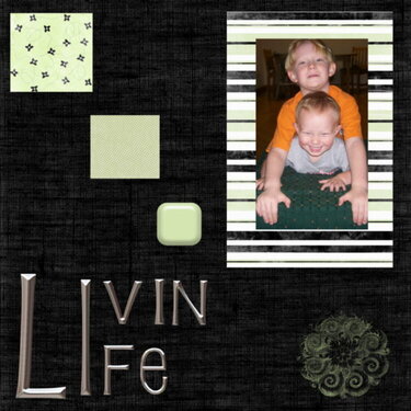 Livin&#039; Life