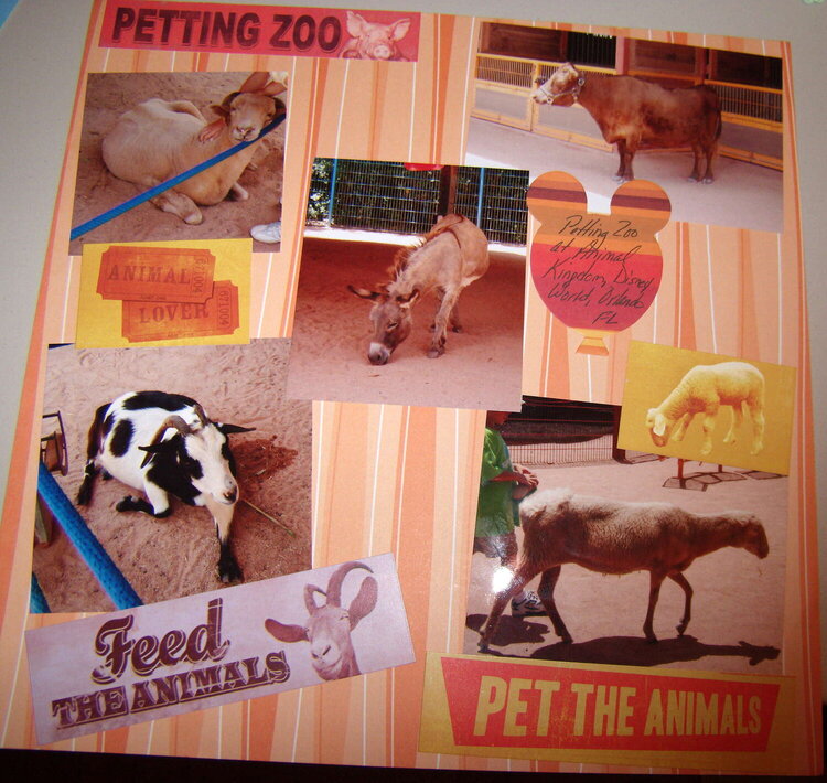 Petting Zoo at Animal Kingdom