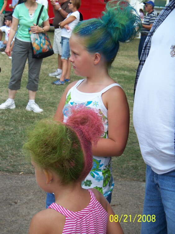 2008 MN State Fair Do&#039;s!