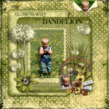 Blow Away Dandelion