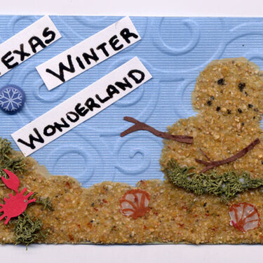 Winter Swap ATC - Texas Winter Wonderland!