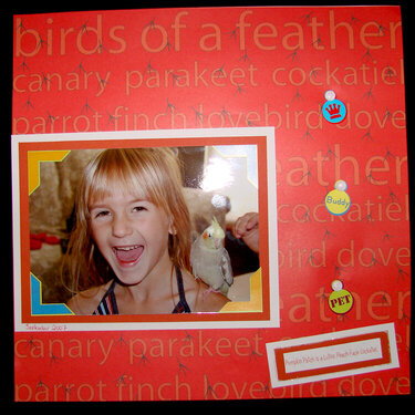 Ava and her new Bird Page 1