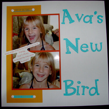 Ava&#039;s New Bird