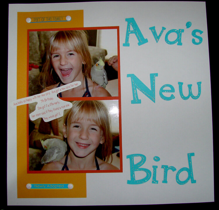 Ava&#039;s New Bird