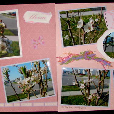 Bloom 2 page spread