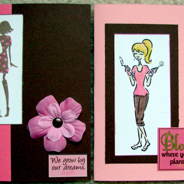 Pink and Brown Cards