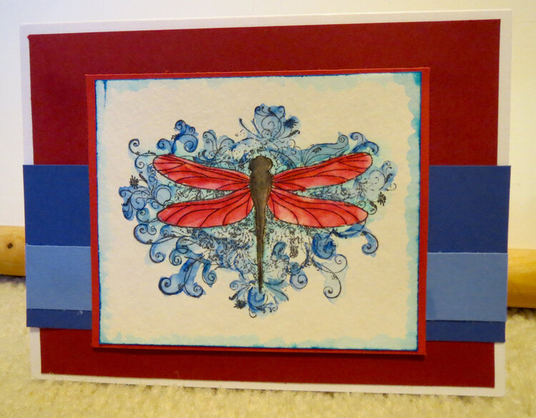 Red Dragonfly card