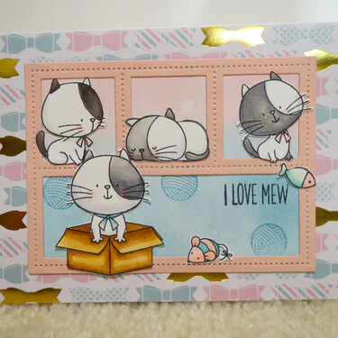 Kitty Card for Twins 1