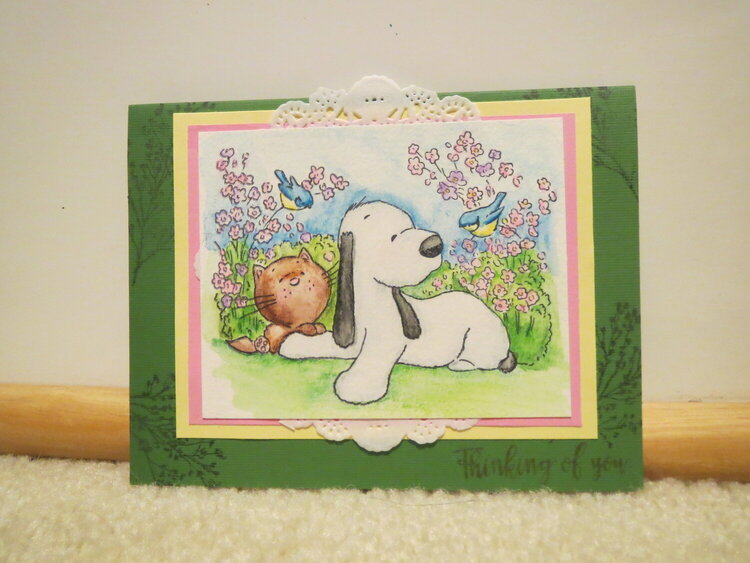 Cat and Dog Card