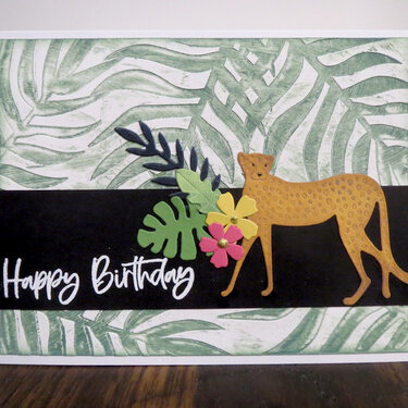 Birthday Wild Cat card 1
