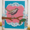 Birdy card for friend