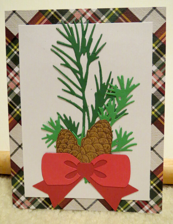 Christmas card with pine cones