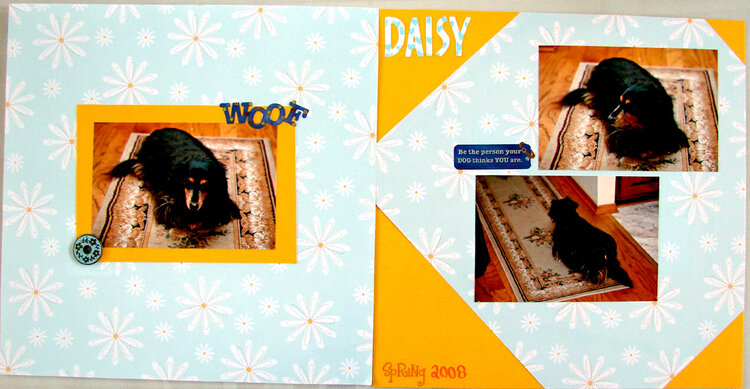 Daisy - Spring 2008