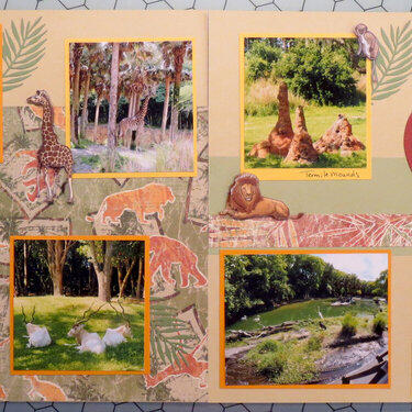 Safari layout - Animal Kingdom Orlando