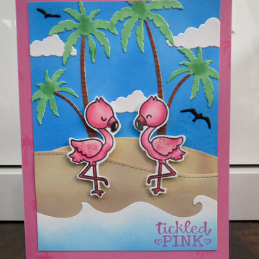 Flamingo Island card