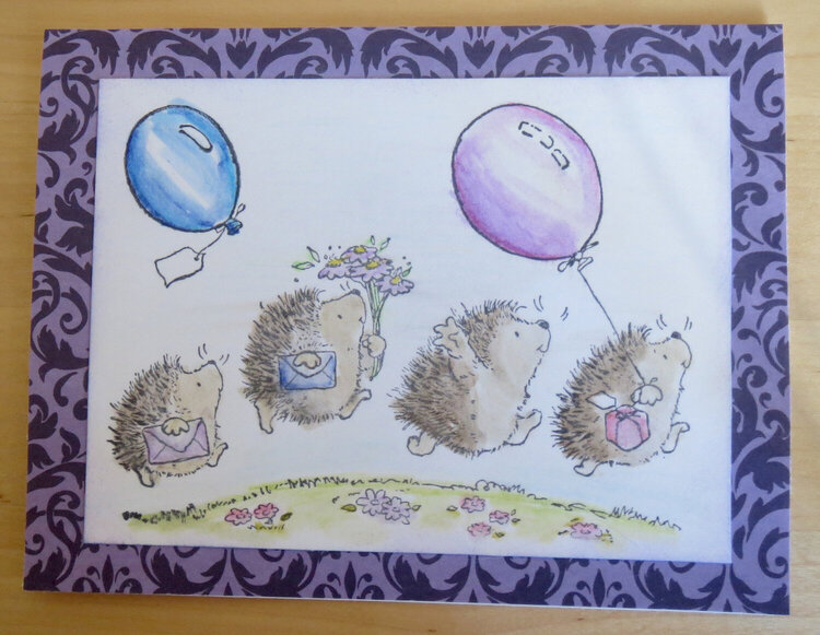 Hedge Hog birthday card