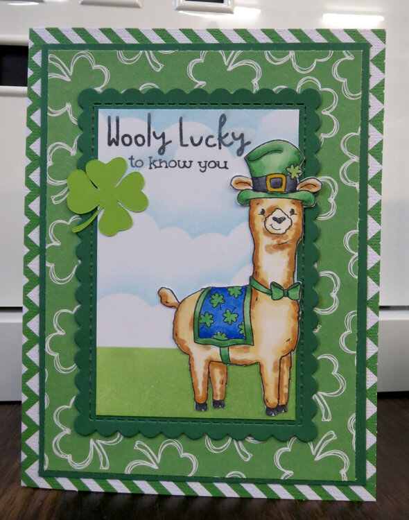 Llama St. Patrick&#039;s Day card 3