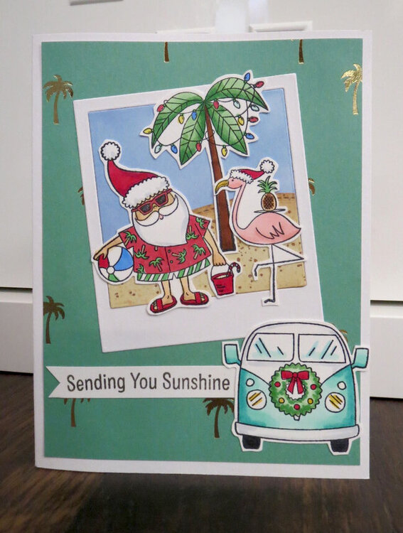 Sun Lovin&#039; Santa Cards