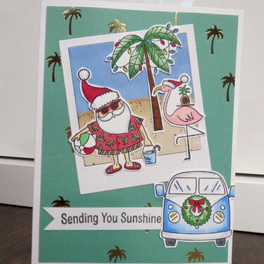 Sun Lovin' Santa Cards