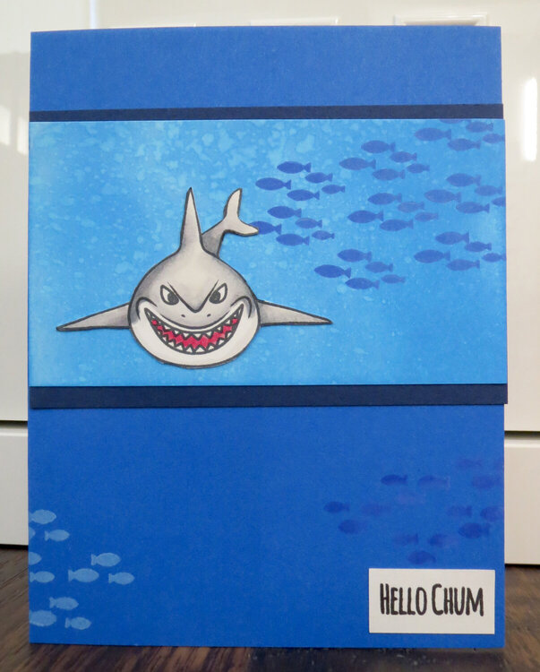 Shark Week Card - Fish Schools