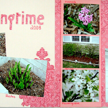 Springtime 2008