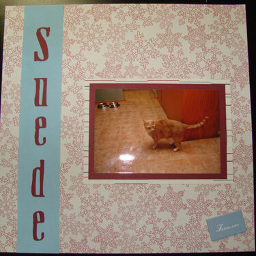 Suede - A friends Cat