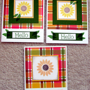 Sunflower cards sent to Operation Write Home in April