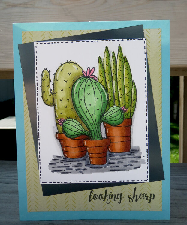Looking Sharp (cactus) Birthday Card