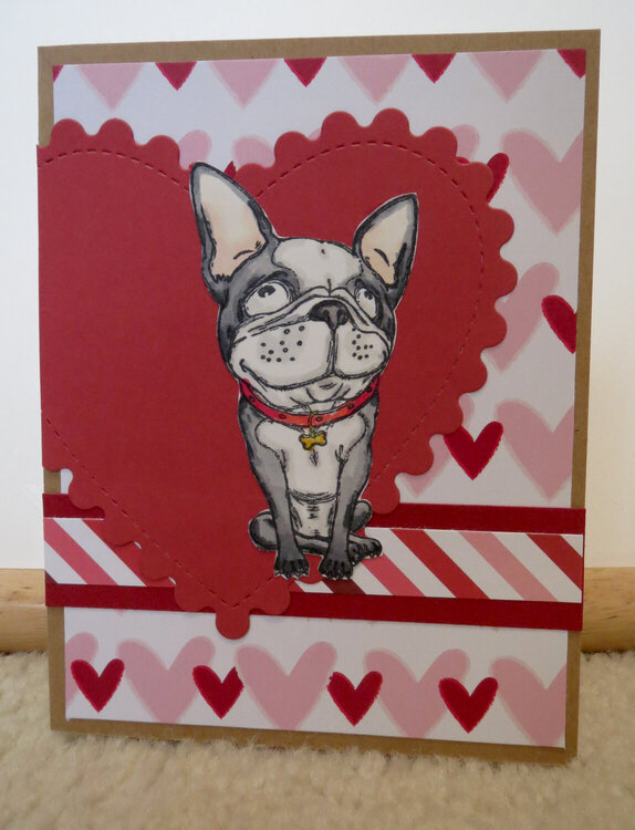 Dog Valentine 2018