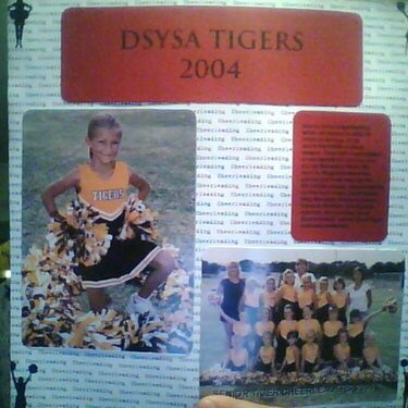 DSYSA Tigers