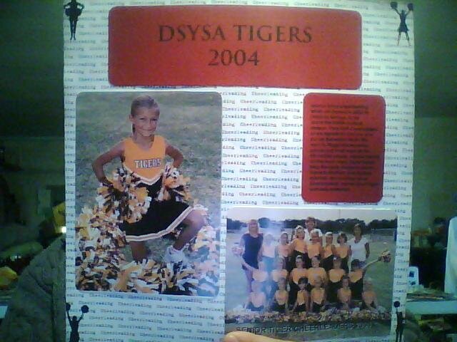 DSYSA Tigers