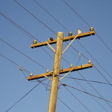2 Kookaburra&#039;s on the power pole outside the house