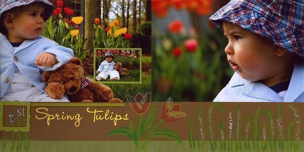 DW 2007 Calendar--1st Spring Tulips