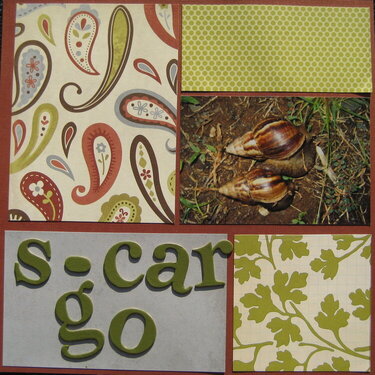 S-Car Go page 2