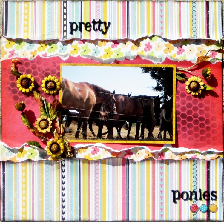 pretty ponies