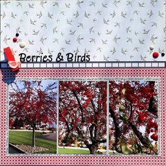 Berries & Birds