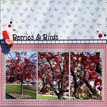 Berries &amp; Birds
