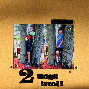 2 boys treed!