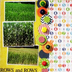 ROWS and ROWS