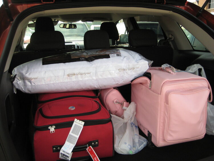 Pink&#039;s luggage