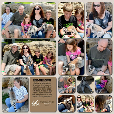 Feeding the Lemurs