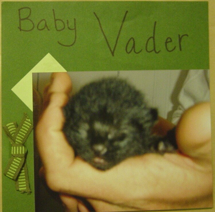 Baby Vader