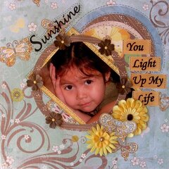 Sunshine - You Light Up My Life